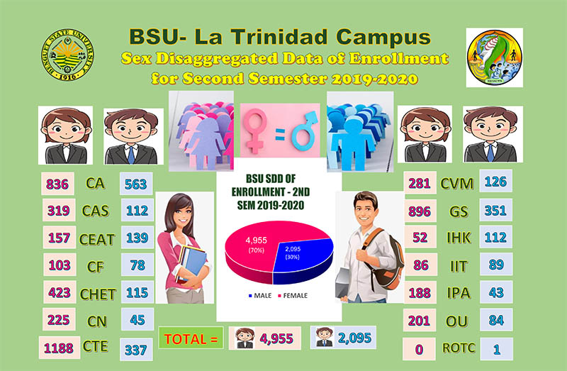 Sex Disaggregated Data Sdd Benguet State University